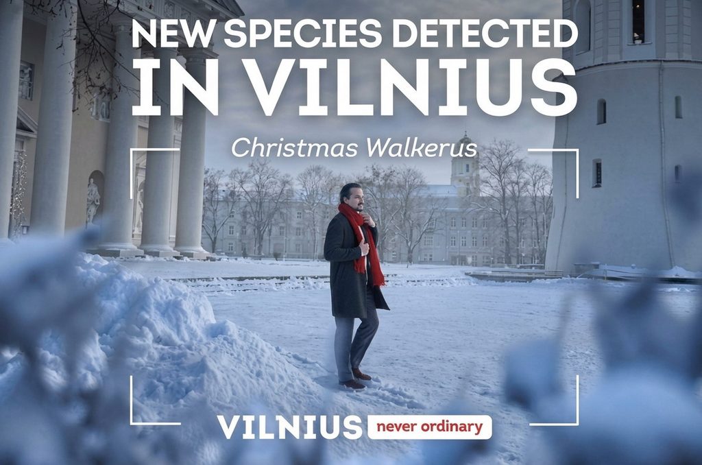 Things To Do in Vilnius in Winter